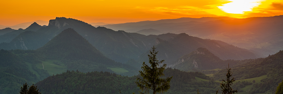 Baner sierpień 2023